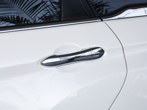 2019����m�������� �������^