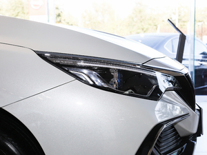 2019����m�������� �������^