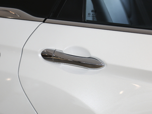 2019����m�������� �������^