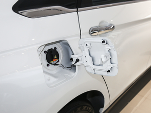 2019����m�������� �������^