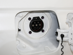 2019����m�������� �������^