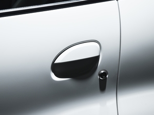 2020�� ���{�T����