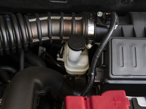 2020��1.6L CVT���а� ��V ����