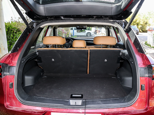 2020260T 48Vp Ԅ(dng)װ g