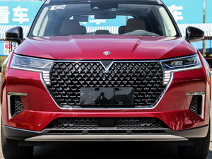 2020260T 48Vp Ԅװ оW