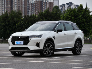 2020260T 48Vp Ԅװ ǰ45