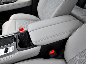 2020260T 48Vp Ԅ(dng)װ 