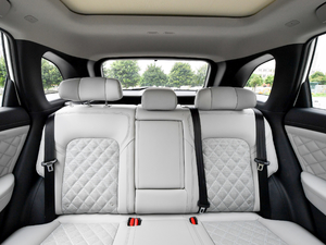 2020260T 48Vp Ԅ(dng)װ g