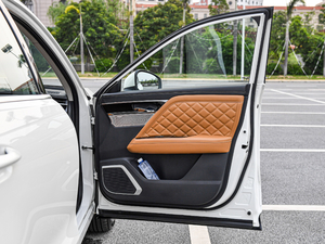 2020260T 48Vp Ԅ(dng)װ g