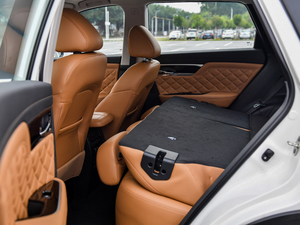 2020260T 48Vp Ԅ(dng)װ g