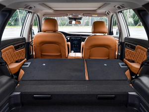 2020260T 48Vp Ԅ(dng)װ g