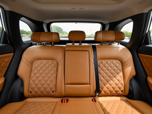 2020260T 48Vp Ԅ(dng)װ g