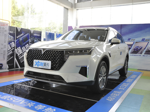 2020260T 48Vp Ԅ ǰ45