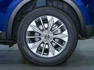 2020260T Ԅа (x)(ji)^