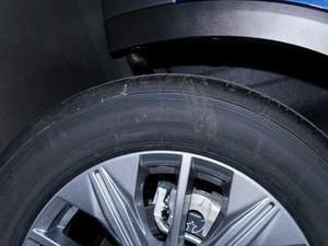 2020260T Ԅа ݆̥Ʒ