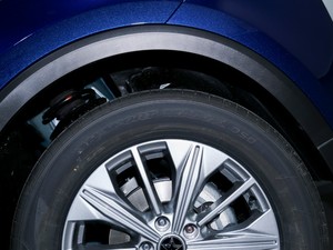 2020260T Ԅа (x)(ji)^