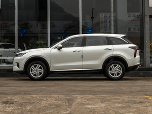 2020260T ք(dng)ǐ (c)