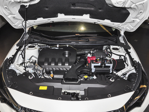 20201.6L XL քӐ  lәC