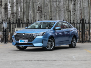 2021PLUS 1.6L CVTI ǰ45