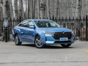 2021PLUS 1.6L CVTI(lng) w^