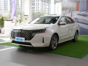 2021PLUS 1.6L CVTI ǰ45