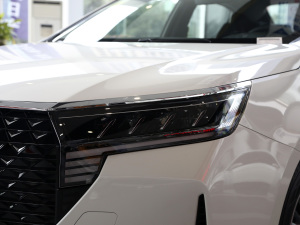 2021PLUS 1.6L CVTI(lng) (ji)^