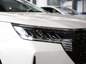 2021PLUS 1.6L CVTI(lng) (ji)^