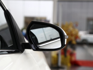 2021PLUS 1.6L CVTI ^