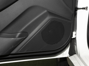 2021PLUS 1.6L CVTI g