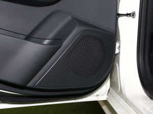 2021PLUS 1.6L CVTI g