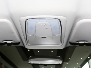 2021PLUS 1.6L CVTI g