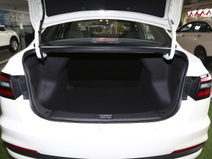 2021PLUS 1.6L CVTI g