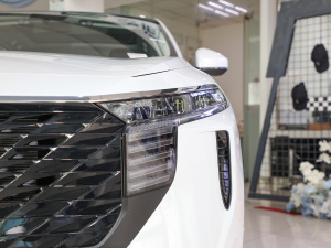 2021260T ۶ (x)(ji)^