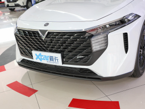 2021260T ۶ (x)(ji)^