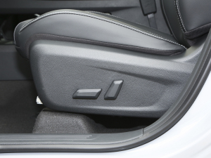 2021260T  {{(dio)(ji)