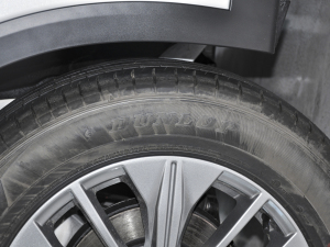 2021260T Ԅа ݆̥Ʒ