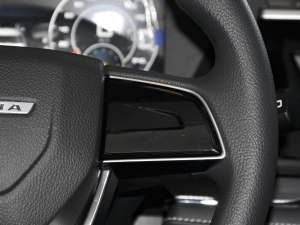 2021260T Ԅа п؅^(q)