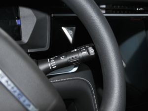 2021260T Ԅа п؅^(q)