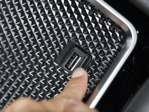 2021260T Ԅа п؅^(q)