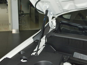 2021260T Ԅ48Vp ³ɰ 