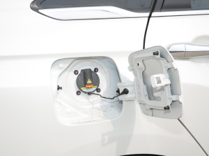 2022��˜��m�������� �������^