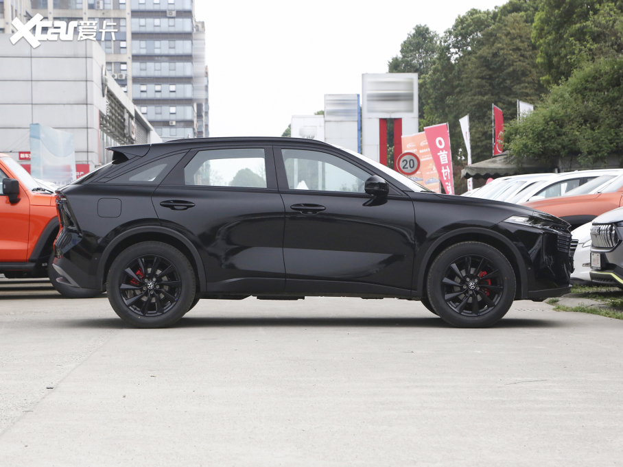 2022V 260T 桤