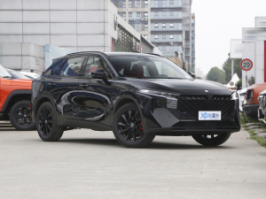 2022260T 桤 ǰ45