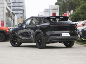 2022260T 桤 45
