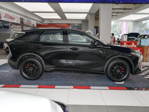 2022260T R桤۶ (c)ң