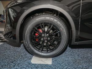 2022260T R桤۶ ݆Ȧ