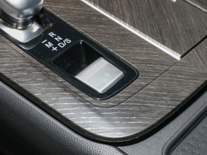 2022260T R桤۶ v܇Ƅ