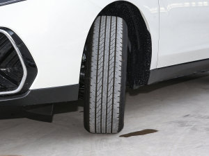 2023��PLUS ���а�RJ�� �������^