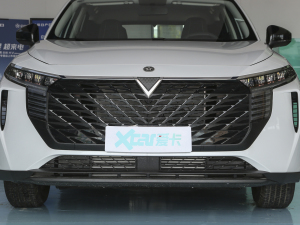 2023款260T 新星版 Pro 中网