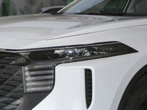 2023款260T 新星版 Pro 大灯